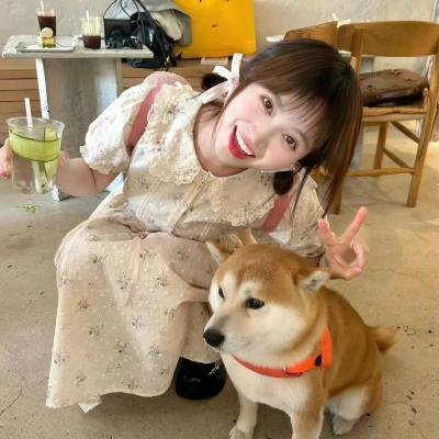 情困外交家